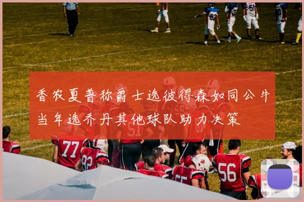 香农夏普称爵士选彼得森如同公牛当年选乔丹其他球队助力决策